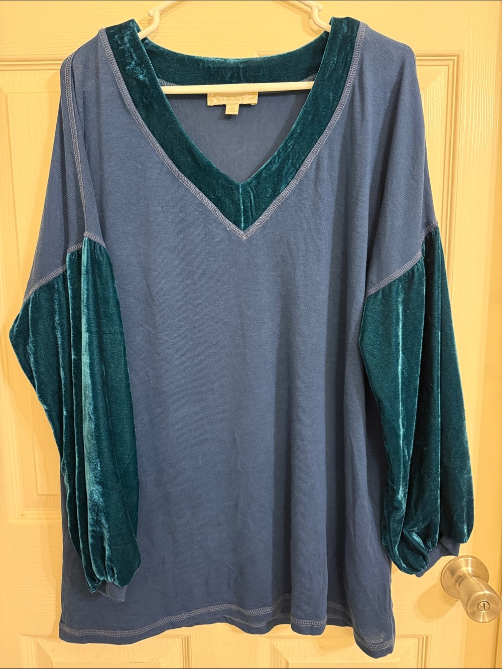 Suzanne Betro Blue Tunic with Teal Velvet Trim